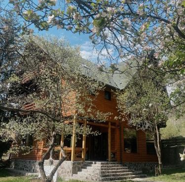 Cabana Bistra in Deda