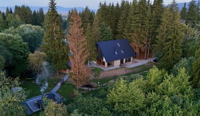 Cabana Bradul Adelinei in Bucin