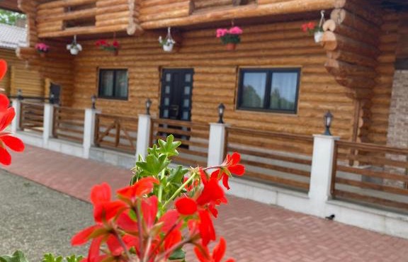 Cabana Călin in Capu Cîmpului