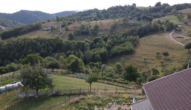 Cabana de inchiriat in Petreşti