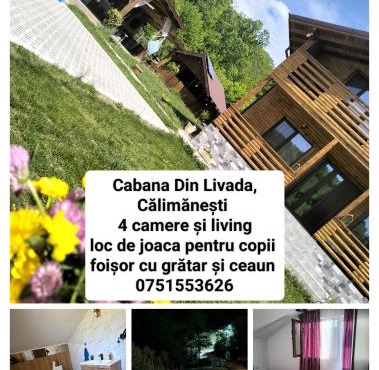 Cabana din Livada, Călimănești in Salatrucel