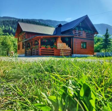 Cabana Dintre Munti in Vidra