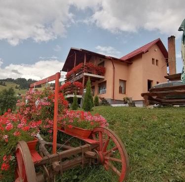 Cabana Gabriel Bucovina in Vatra Dornei