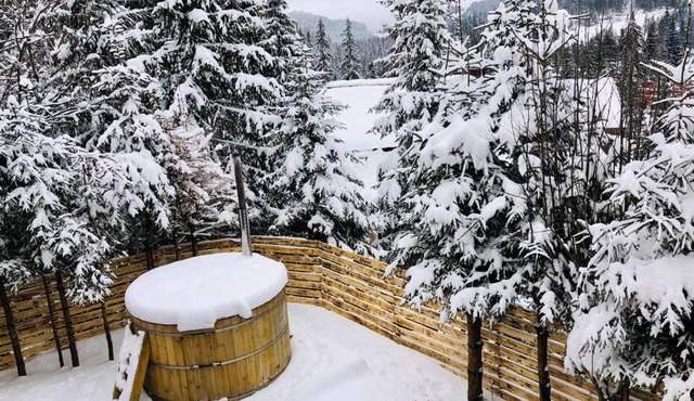 Cabana Harghita Băi in Harghita-Băi