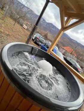 Cabana Ilinca in Salciua de Jos