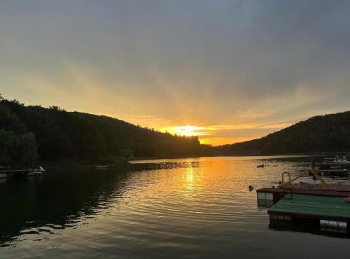 Cabana Lacul Surduc in Fardea