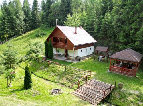 Cabana SVA Bilbor in Bilbor