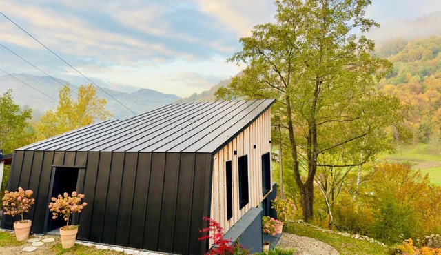 Cabana207 - Private Mountain Cabin with Hot Tub in Bulz