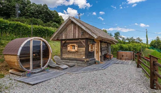 Cabin with whirlpool and sauna in Otočec