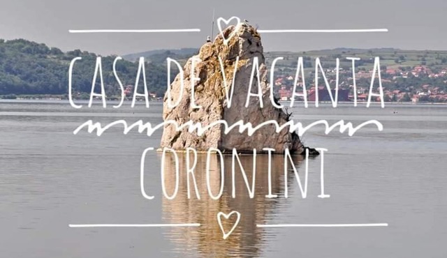 Casă de vacanță Danube in Coronini