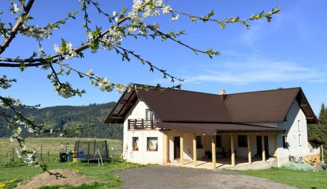 Casa Albă in Vatra Moldoviţei