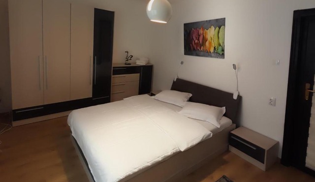 Casa Alba in Vişeu de Sus
