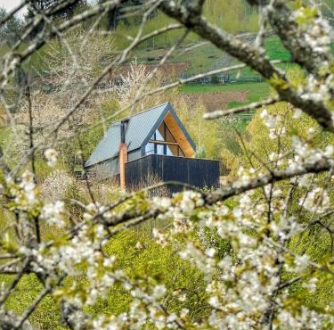 Casa Aristocrată - La noi la munte in Mătişeşti