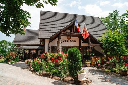 Casa Baciu in Pojorita