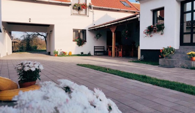 Casa Badea in Salasu de Jos