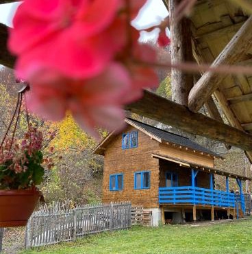 Casa Brună in Băile Olăneşti