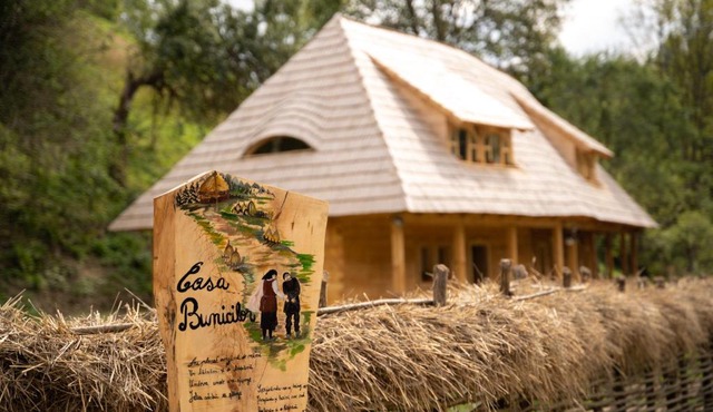 Casa Bunicilor Apuseni in Geogel
