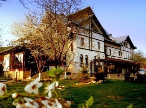 Casa Calin in Vama