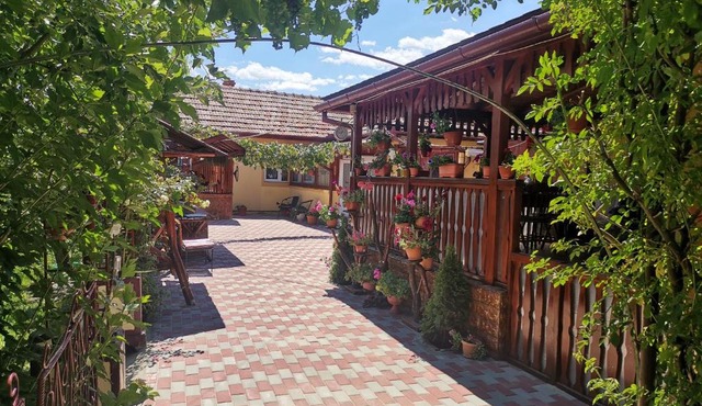 Casa Dana in Hateg