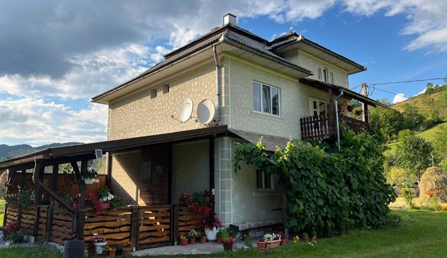 Casa Danut in Vidra