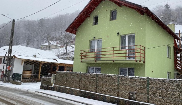 Casa Daubner in Cavnic