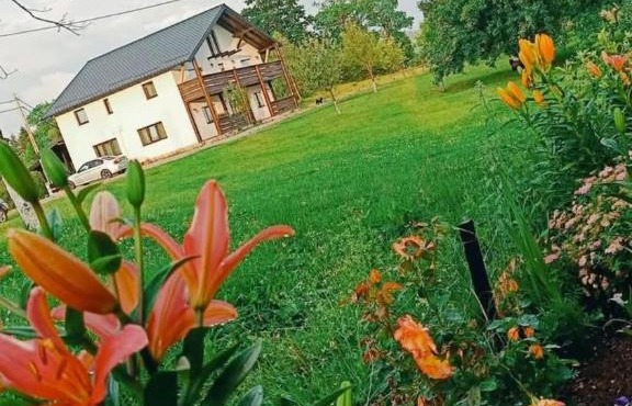 Casa Davana in Sacuieu