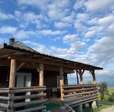 Casa de vacanta Anca in Ciuruleasa