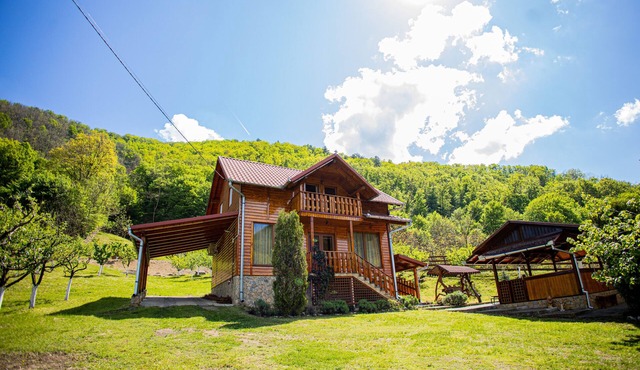 Casa de Vacanta Hanes in Pianu de Sus
