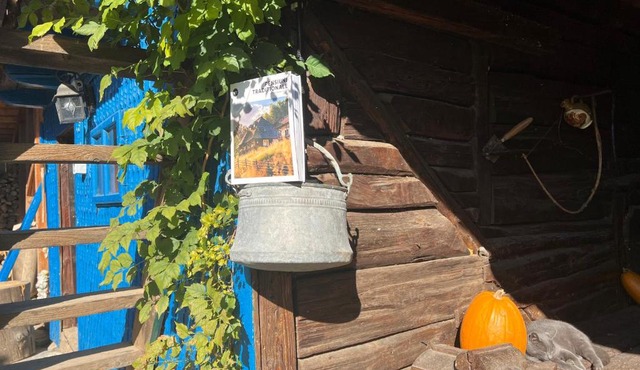 Casa de vacanta traditionala La Fanar in Schiuleşti