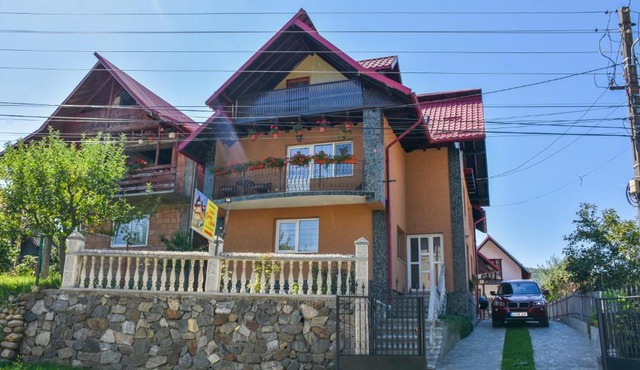 Casa Diana-Maria in Oestii Paminteni