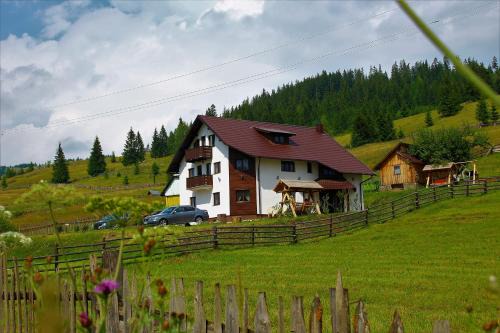 Casa din Plai - Bucovina in Moldova-Sulita