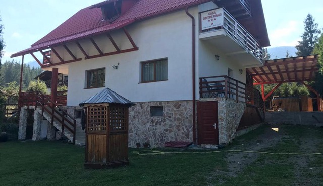 Casa dintre Brazi in Arieseni