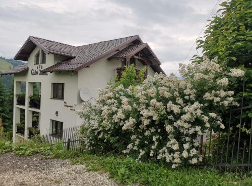 Casa Doina in Vatra Dornei