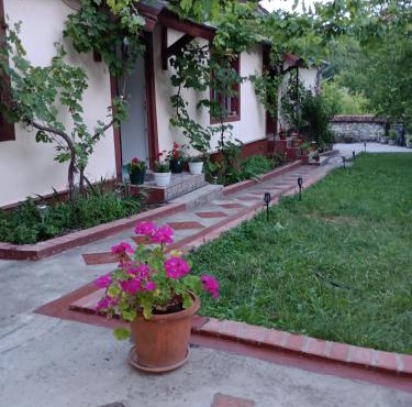 Casa Dragoi din Socolari, 218, Caras - Severin in Socolari