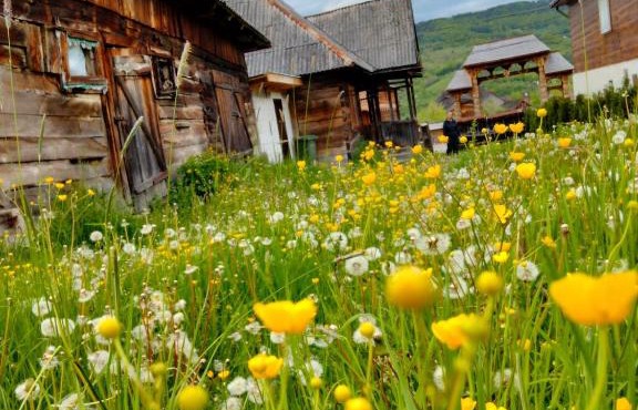 Casa Godja Oncești in Onceşti