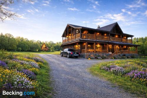 Casa Hiru in Oestii Paminteni