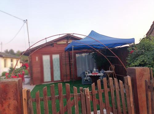 Casa Leo in Cristur