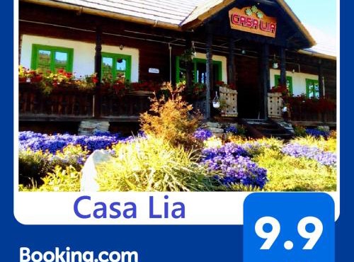 Casa Lia in Valea Putnei