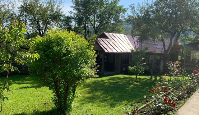 Casa Livada cu Meri in Vişeu de Jos
