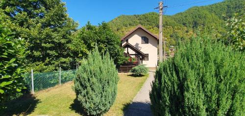 Casa Lotrilor in Malaia
