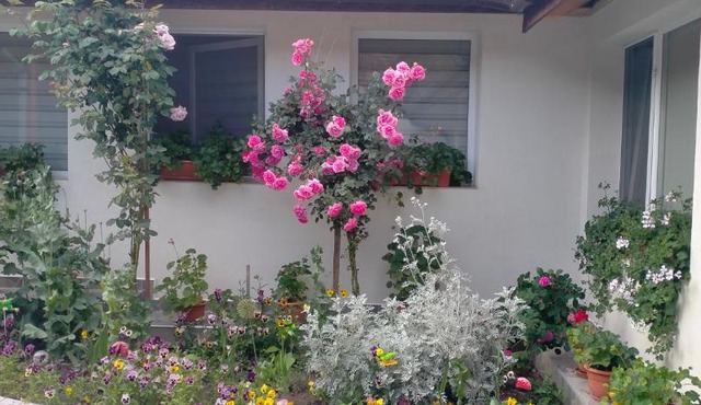 Casa Luminița in Eselnita