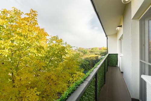 Casa Magurele 4 in Bucharest