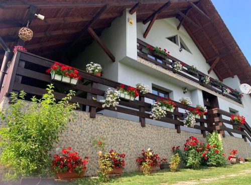 Casa Maria in Tiha Bargaului