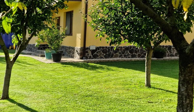 Casa Maya - Beautiful 5-bedroom house in serene Săsciori in Sasciori