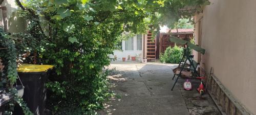 Casa Maya in Turda