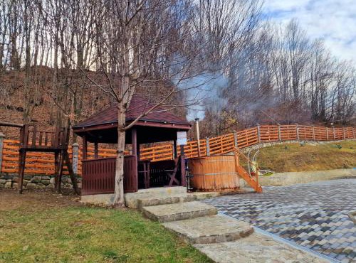 Casa Nikolia in Magura