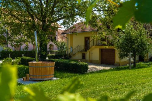 Casa No. 51 in Ormoz