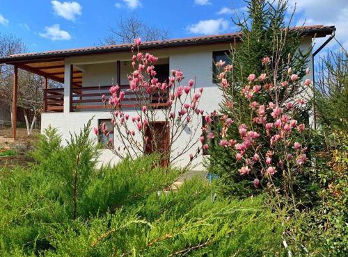 Casa Nopcea in Hateg
