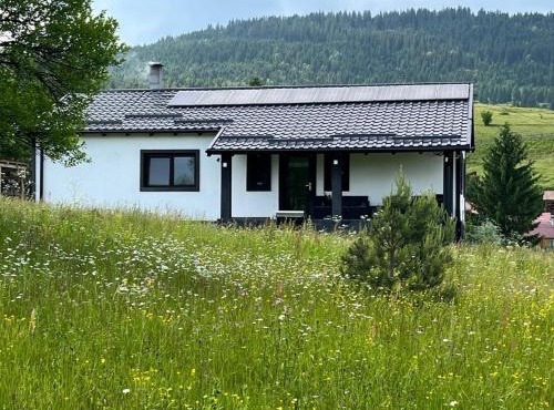 Casa Ranio in Topliţa