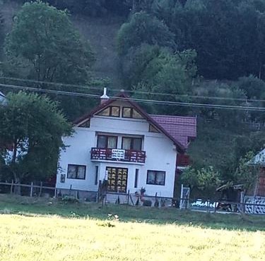 Casa Rares Toc in Vidra